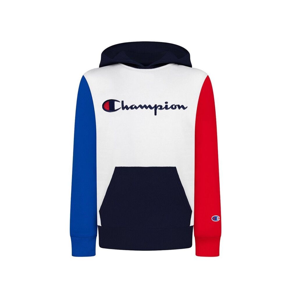 NWT Champion Boys Color Blocked Script Hoodie 2T